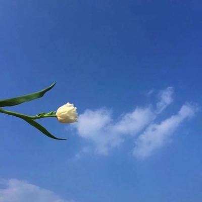 玛法英雄传奇游戏下载